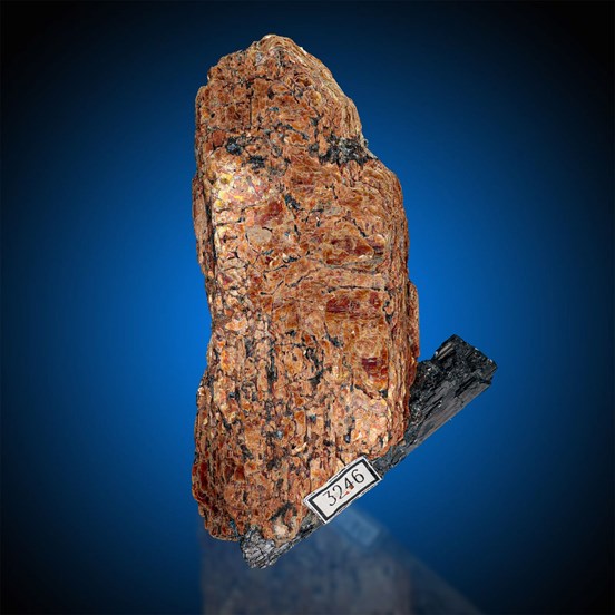 Niobophyllite-Mount Malosa | Zomba Plateau | Chilwa Alkaline Area | Malawi